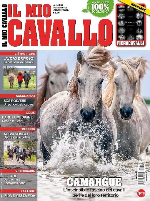 Title details for Il mio Cavallo by Sprea S.p.A. - Available